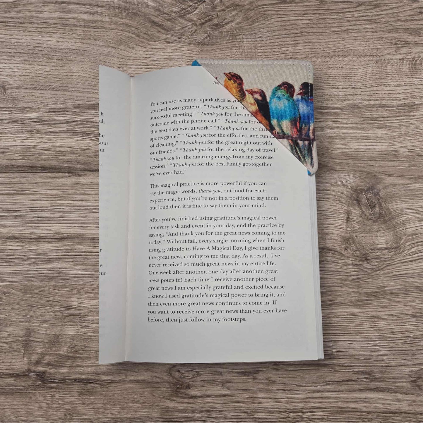 Corner Fabric Bookmark - Feathered Friends